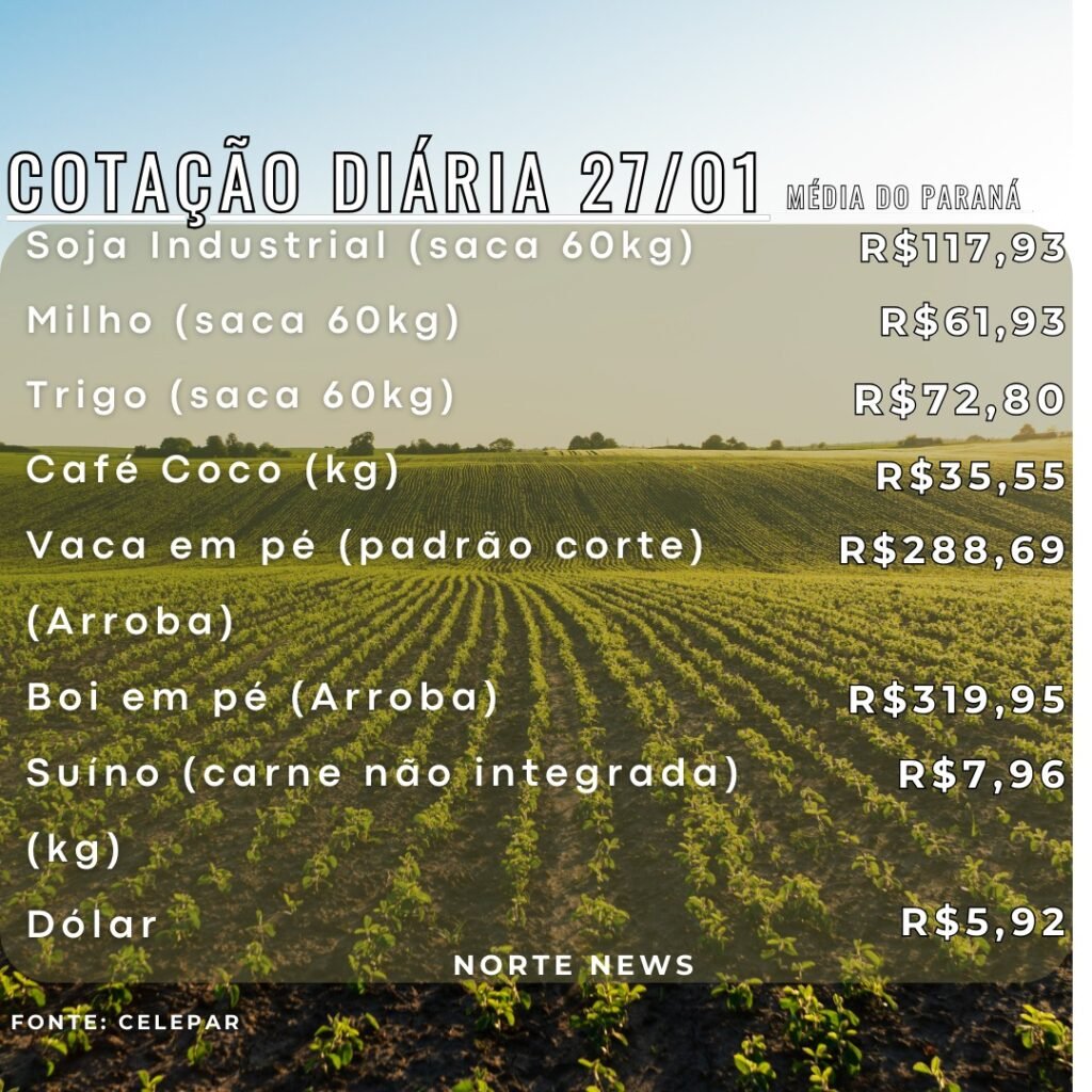 WhatsApp Image 2025-01-27 at 11.30.44