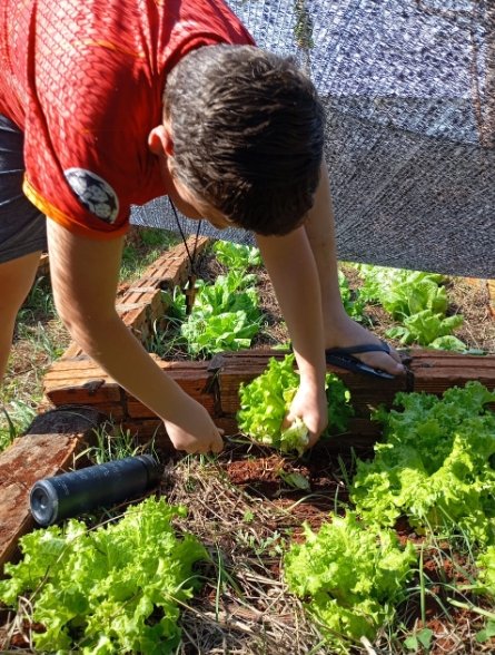 Transformando-plastico-em-vida---Laranjeiras---1