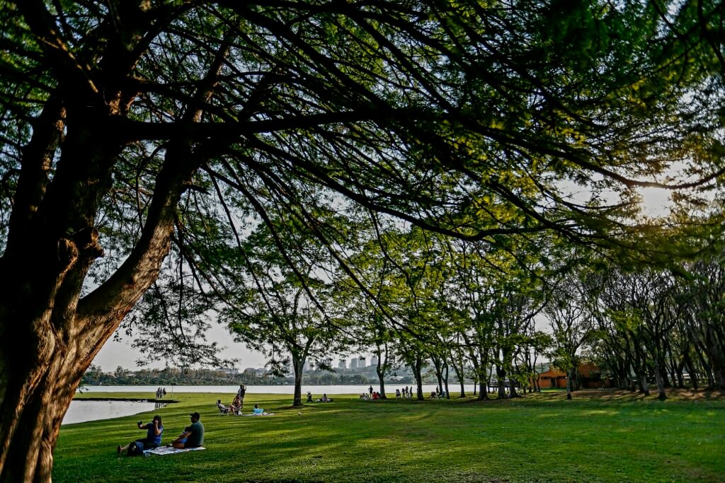 Curitiba-01-10-2020 - Calor em Curitiba - Parque Barigui
